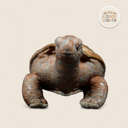 Galapagos Tortoise Soft Stuffed Plush Toy