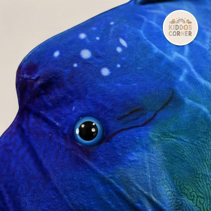 Humphead Wrasse Soft Stuffed Plush Toy