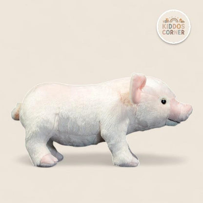 Domestic Pig Soft Stuffed Plush Toy