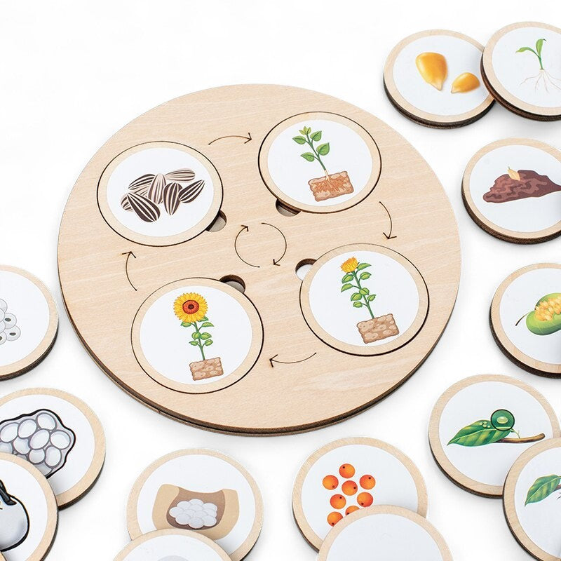Woods™ - Discover the Life Cycle! - Wooden Puzzle