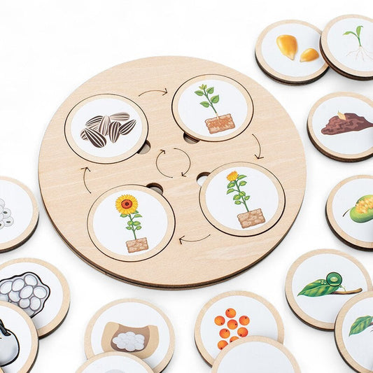 Woods™ - Discover the Life Cycle! - Wooden Puzzle