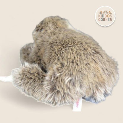 Sloth Soft Stuffed Plush Toy